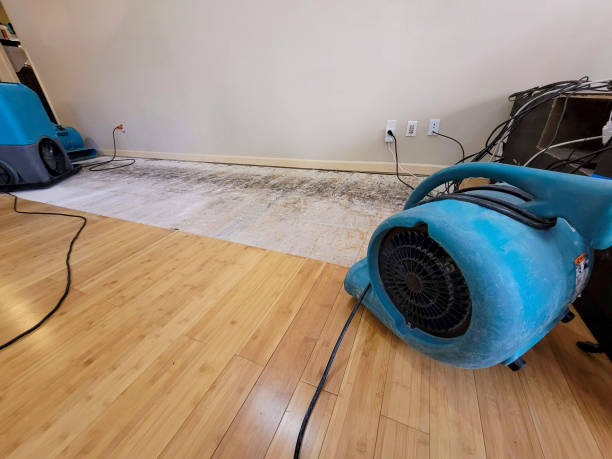 Professional Water Damage Repair technician working in Fulton, MD